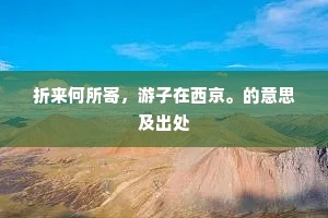 折来何所寄，游子在西京。的意思及出处