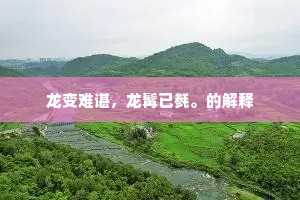 龙变难谌，龙髯已毵。的解释