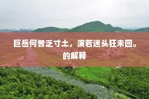 巨岳何曾乏寸土，演若迷头狂未回。的解释