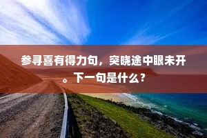参寻喜有得力句，突晓途中眼未开。下一句是什么？