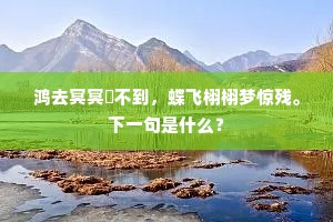 鸿去冥冥矰不到，蝶飞栩栩梦惊残。下一句是什么？