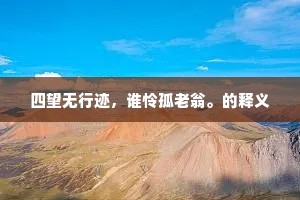 四望无行迹，谁怜孤老翁。的释义