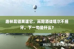 唐林晁错莫逢它，高阳酒徒咀尔不摇牙。下一句是什么？