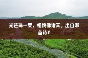 光芒珠一粟，相貌佛诸天。出自哪首诗？