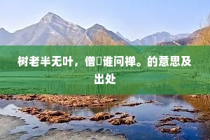 树老半无叶,僧閒谁问禅。的意思及出处 树老半无叶,僧閒谁问禅。的意思及出处