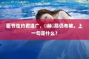 臣节俭约君道广,烜赫颙昂仍布被。上一句是什么? 臣节俭约君道广,烜赫颙昂仍布被。上一句是什么?