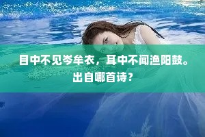 目中不见岑牟衣,耳中不闻渔阳鼓。出自哪首诗? 目中不见岑牟衣,耳中不闻渔阳鼓。出自哪首诗?