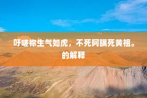 吁嗟祢生气如虎，不死阿瞒死黄祖。的解释