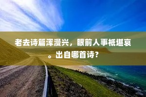 老去诗篇浑漫兴，眼前人事祗堪哀。出自哪首诗？