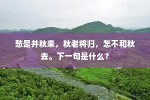 愁是并秋来，秋老将归，怎不和秋去。下一句是什么？