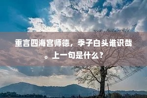 重言四海宫师德，季子白头谁识哉。上一句是什么？