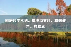 幽居片尘不到。度凄凉岁月，将愁谁告。的释义