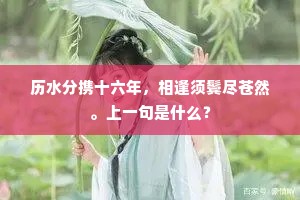历水分携十六年，相逢须鬓尽苍然。上一句是什么？