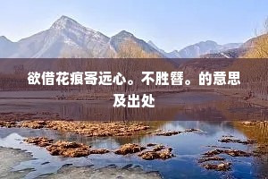 欲借花痕寄远心。不胜簪。的意思及出处