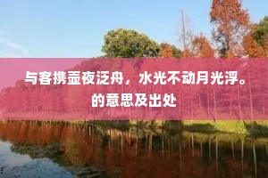 与客携壶夜泛舟，水光不动月光浮。的意思及出处