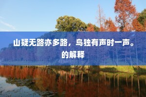 山疑无路亦多路，鸟独有声时一声。的解释