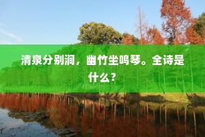 清泉分别涧，幽竹坐鸣琴。全诗是什么？