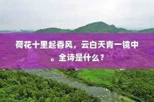 荷花十里起香风，云白天青一镜中。全诗是什么？