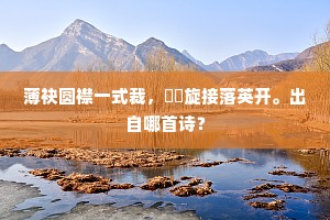 薄袂圆襟一式裁，骎骎旋接落英开。出自哪首诗？