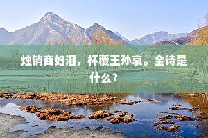 烛销商妇泪，杯覆王孙哀。全诗是什么？