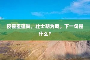 揽镜羞蓬鬓，壮士胡为哉。下一句是什么？