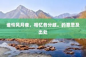 谁怜风月夜，相忆各分歧。的意思及出处
