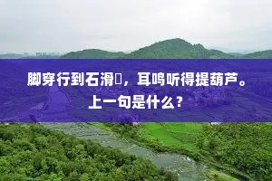 脚穿行到石滑澾，耳鸣听得提葫芦。上一句是什么？