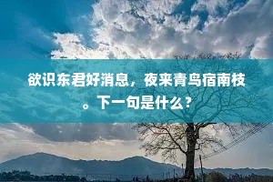 欲识东君好消息，夜来青鸟宿南枝。下一句是什么？