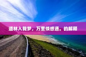 道林入我梦，万里倏感通。的解释