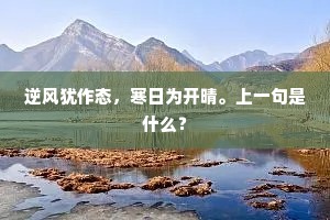 逆风犹作态，寒日为开晴。上一句是什么？