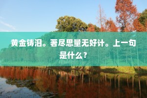黄金铸泪。著尽思量无好计。上一句是什么？