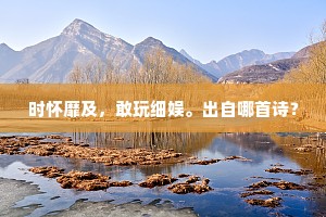 时怀靡及，敢玩细娱。出自哪首诗？