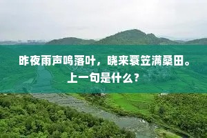 昨夜雨声鸣落叶，晓来蓑笠满桑田。上一句是什么？
