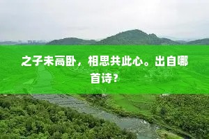 之子未高卧，相思共此心。出自哪首诗？