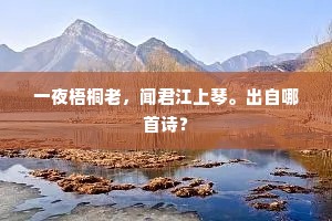 一夜梧桐老，闻君江上琴。出自哪首诗？