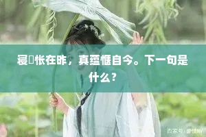寝痾怅在昨，真蕴惬自今。下一句是什么？