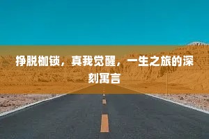 挣脱枷锁，真我觉醒，一生之旅的深刻寓言