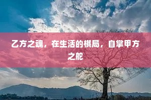 乙方之魂，在生活的棋局，自掌甲方之舵