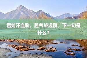 君如汗血驹，胆气终逸群。下一句是什么？