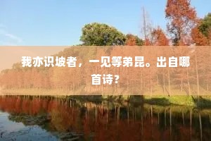 我亦识坡者，一见等弟昆。出自哪首诗？