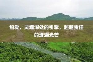 热爱，灵魂深处的引擎，超越责任的璀璨光芒