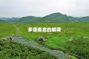 多谋善虑的解释