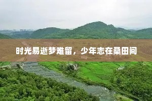 时光易逝梦难留，少年志在桑田间