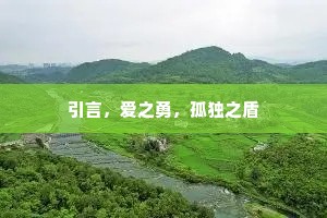 引言，爱之勇，孤独之盾