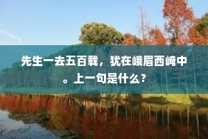 先生一去五百载，犹在峨眉西崦中。上一句是什么？