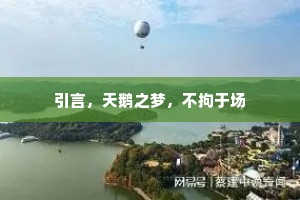 引言，天鹅之梦，不拘于场