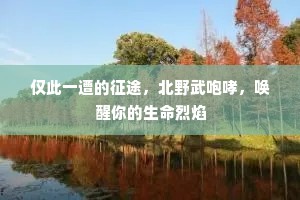 仅此一遭的征途，北野武咆哮，唤醒你的生命烈焰