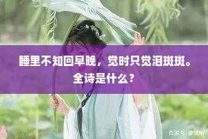 睡里不知回早晚，觉时只觉泪斑斑。全诗是什么？