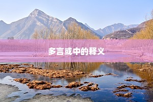 多言或中的释义