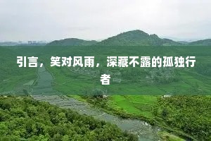 引言，笑对风雨，深藏不露的孤独行者